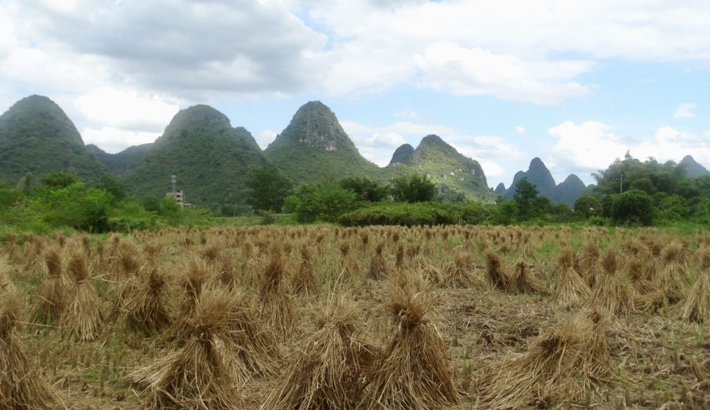 Karst rock formations in Guangxi 