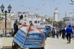 Essouira - Morocco