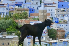 Chefchaouen, Morocco