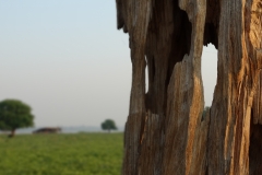 U Bein Bridge, Amarapura, Myanmar