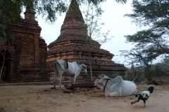 Bagan, Myanmar