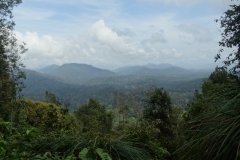 Taman Negara - Malaysia